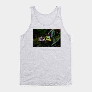 Cairns Birdwing Butterfly Tank Top